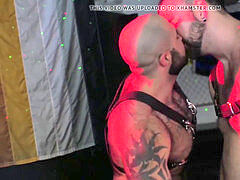 Vidéos hd, fuck-stick, couple