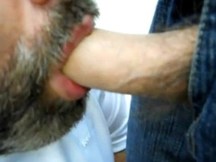 daddy bear sucking a nice cock 4