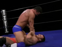 Austin vs Dash and Bruce