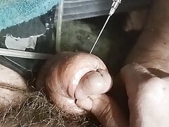 Tiny Cock Inflated & Catheterised