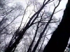 Bears Group Sex Outdoor