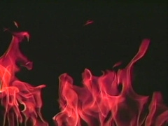 Indecent Proposition