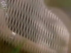 Wild Oats (1984) Complete Movie