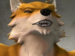 Fox Petruz (Compilation)