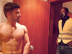 Muscle, rectal, homo