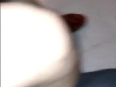 altes Maul,junger Prengel 10