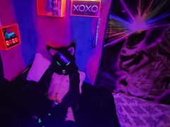 Alleycat Paws Off With New Toy