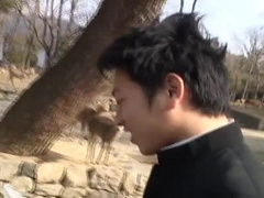 Amazing Asian gay guys in Incredible threesomes, masturbation JAV clip