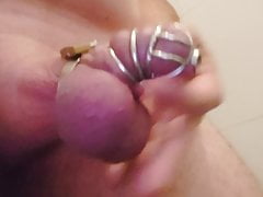 Big cumshot in a small chastity cage