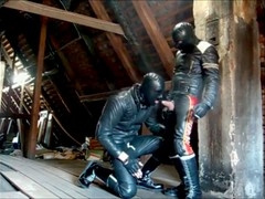 Old Bear Fucks Young