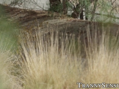 Tempting TS Natalie Mars spreads legs anal with stepson cock