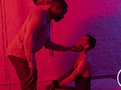 Lawrence Portland bred by black godf Joe Ex