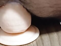 Hairy Anus Safe and Rich Anal
