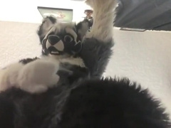 Fursuit sex 37