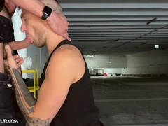 CITEBEUR.com - Dinky is the love of your life