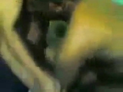 Indonesian Gay Amateur 5