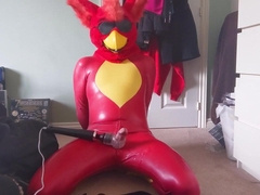 Love Glove Bird Blinded, Jerked and Overstimulated