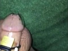 Hotgirl confession caged cuckold humiliation 6