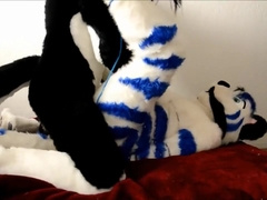 Fursuit sex 115