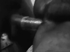 Massive Sri Lankan Cock