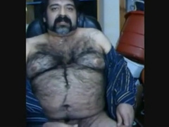 Big hairy bear and hairy body 4