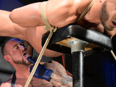 アナル, 惨い, ゲイ