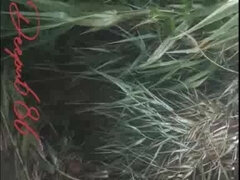 Brunette brune, Couple, Queue, Hard, Hd, Indienne