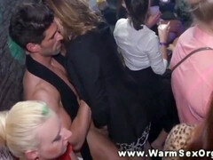 Leie, Blasen, Europäisch, Gruppe, Party, Realität, Hure