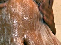 Blondine, Masturbation, Dusche, Titten