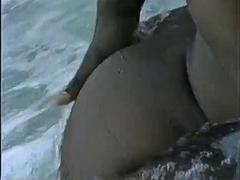 Amateur, Noire, Sucer une bite, Noir ébène, Léchez, Rétro ancien