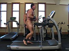 Sadomasochismus, Fesselspiele, Behaart, Hd, Erniedrigung, Leder, Muskel, Schmerz