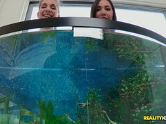 Busty girls Alex Chance and Karlee Grey wets their boobs in the aquarium