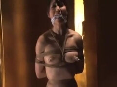 Asiático, Sadomasoquismo, Japonés, Orgasmo