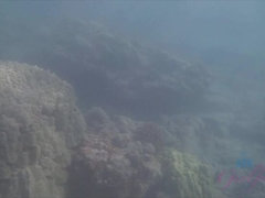 素人, ビーチ, ビキニ, 茶髪の, 彼女, ヌード, アウトドア, ハメ撮り