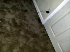 Creampie, Masturbation, Pussy