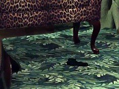 美女, ハードコア, オッパイの