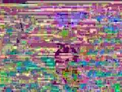 Beroemdheid