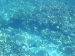 A full day in the ocean is perfect with Zoe.