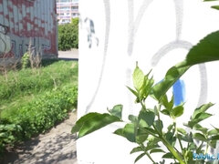 Colombian cutie with a cute face gets drilled doggystyle in public by a stranger