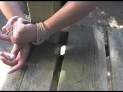 Bondage domination sadisme masochisme, Bondage, Bâillonner, De plein air, Softcore, Attachée