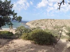 Красотки, Большая жопа, Минет, Глубокая глотка, Латиноамериканки, Милф, Натуральные сиськи, Реалити