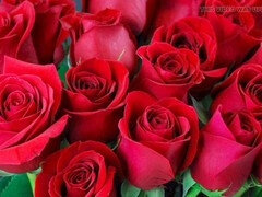 アスtoマウス, 叔母, デカ尻, インド人, 熟年, 淫乱熟女, 母