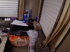 Leie, Grosser schwanz, Blasen, Papi, Puppe, Schwul, Latina, Spielzeuge