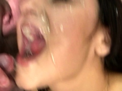 Cute amateur teen blowjob on sex dating