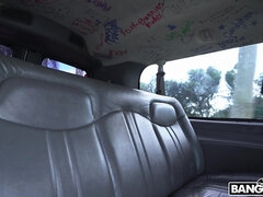 Selena Blaze strokes and sucks the big cock in the bus