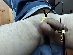 Electro cock estim: semen flows when the prostate receives the most electrons