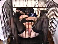 Slave m 8