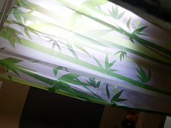 素人, 小柄, シャワー, ティーン, のぞき