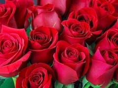 アナル, アスtoマウス, 叔母, フェラチオ, インド人, 熟年, 淫乱熟女, 義母