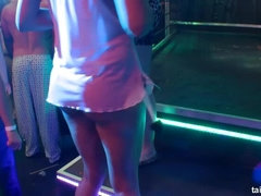 Blasen, Handjob, Hardcore, Lesbisch, Lecken, Orgie, Schüchtern, Swingers